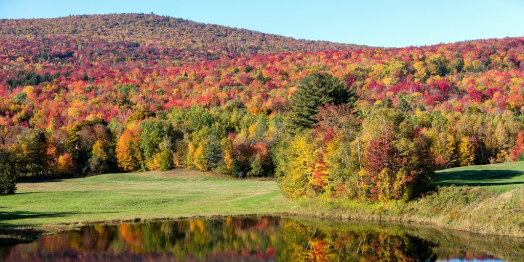 Autumn lake and trees in Canada