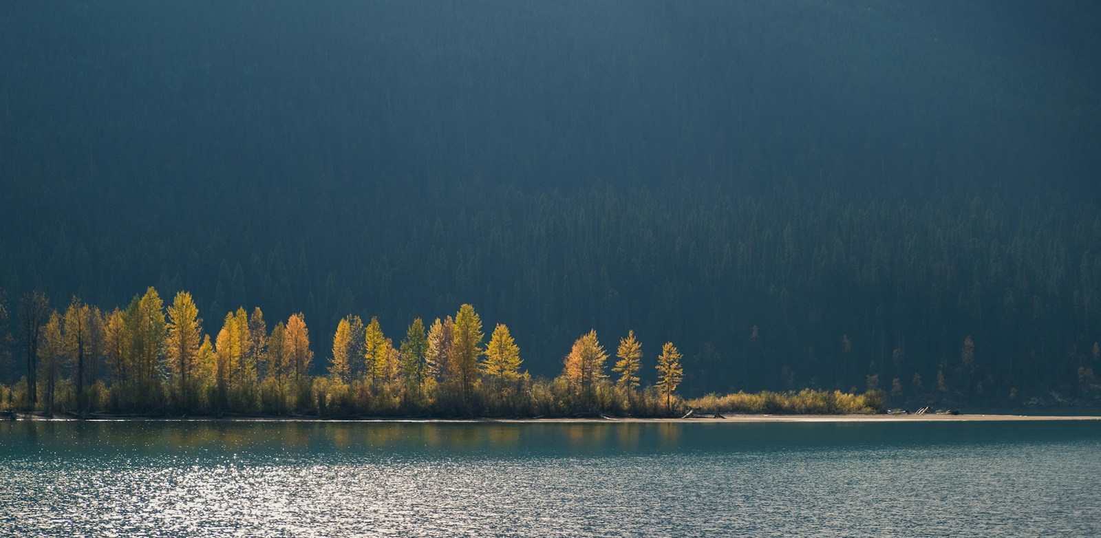 Quiet lake and trees in a scenic outdoor setting